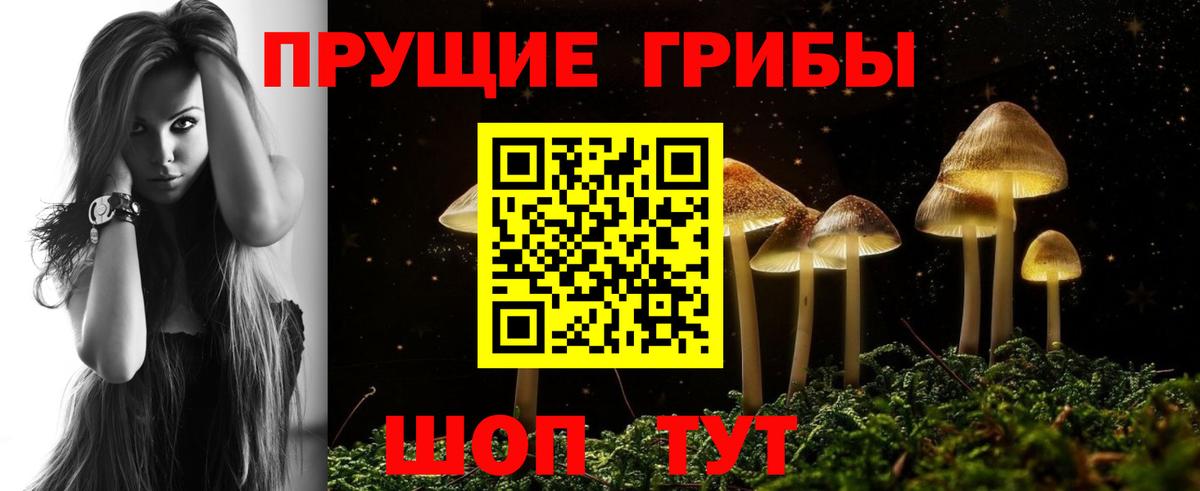 Галлюциногенные грибы прущие грибы Лосино-Петровский